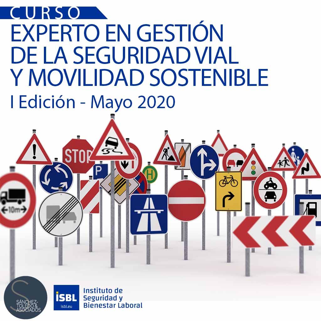 Curso Experto en Gestión de la Seguridad Vial y Movilidad Sostenible (100% OnLine)