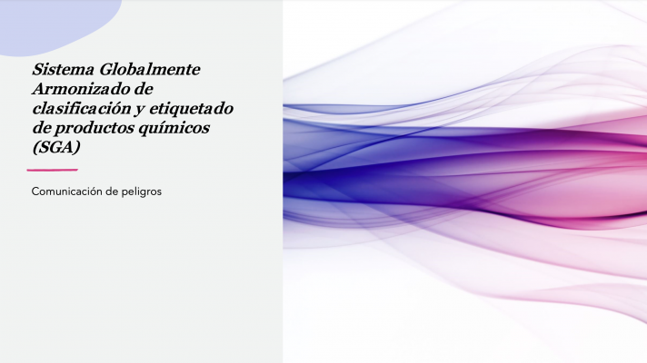 Descarga últimas presentaciones sobre el SGA de las Naciones Unidas