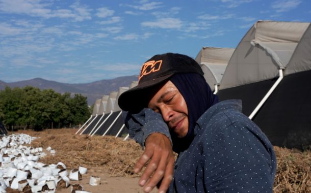 Escucha el Podcast: ¿Cómo el Cambio Climático afecta la salud de las y los trabajadores?