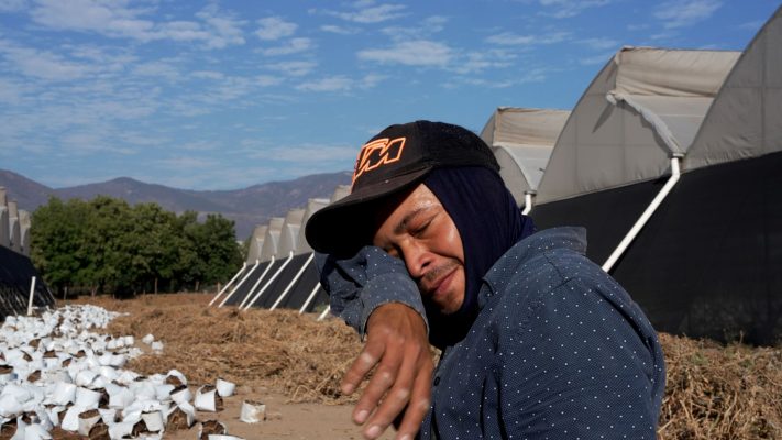 Escucha el Podcast: ¿Cómo el Cambio Climático afecta la salud de las y los trabajadores?