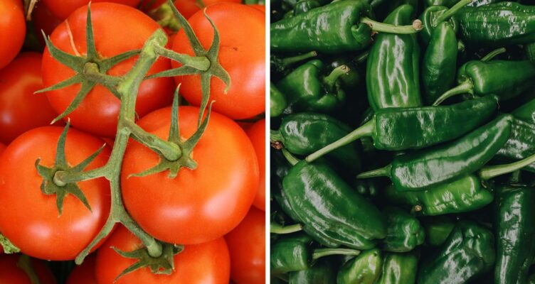 Descarga: Estudio de incentivos y limitaciones para la mejora de la seguridad y salud en el trabajo en la cadena de valor del chile y tomate