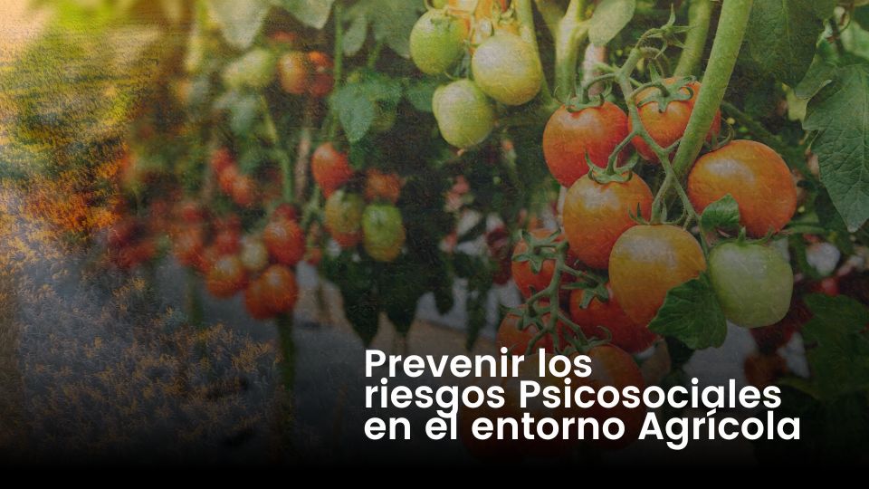 Mejora de la Seguridad y Salud en el Trabajo en el Sector Agrícola: Un Llamado a la Acción
