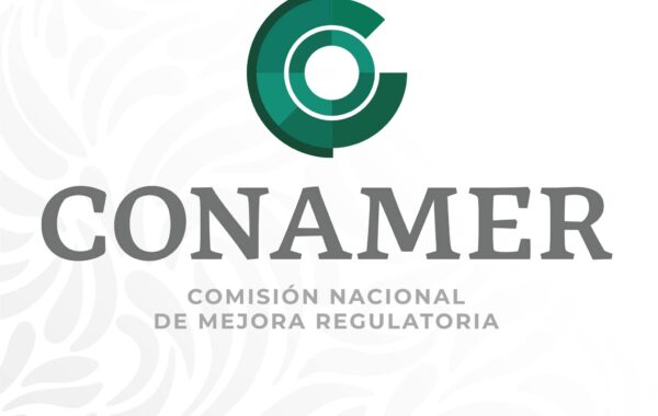 ¿Lees la NOM-017-STPS-2024 pero ignoras su Análisis de Impacto Regulatorio?