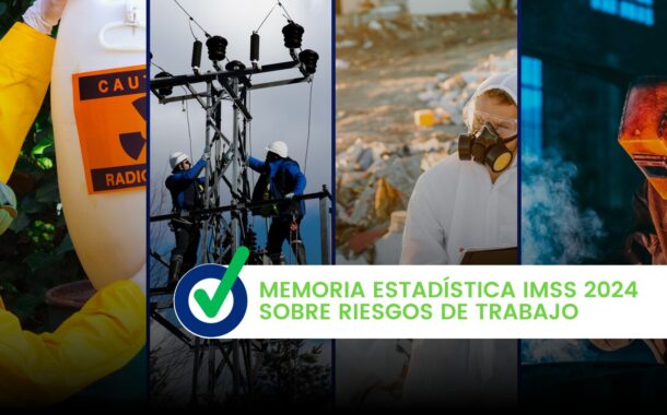 Memoria Estadística IMSS 2024 sobre Riesgos de Trabajo
