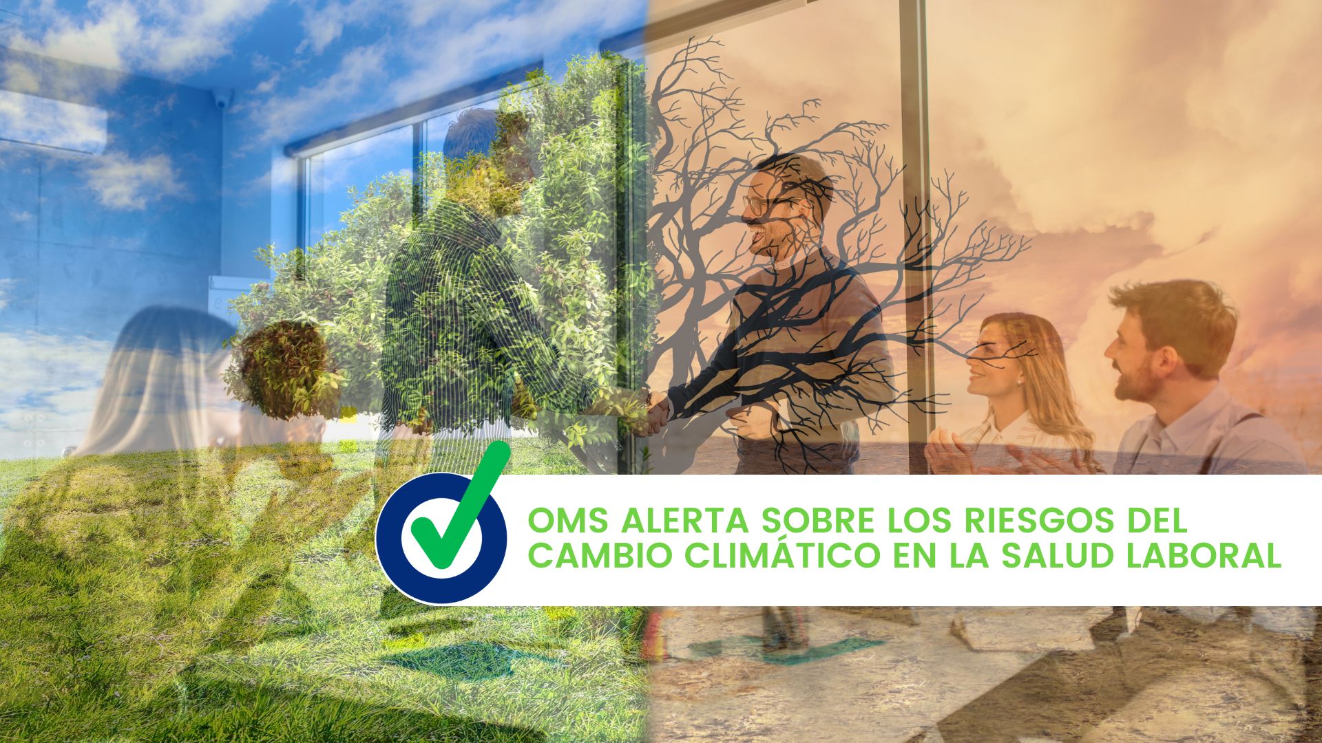 OMS alerta sobre los riesgos del cambio climático en la salud laboral