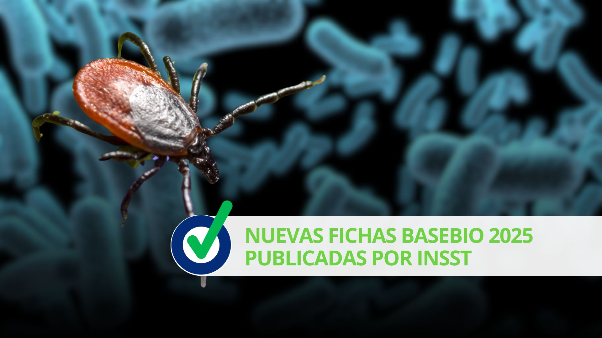 Nuevas fichas BASEBiO