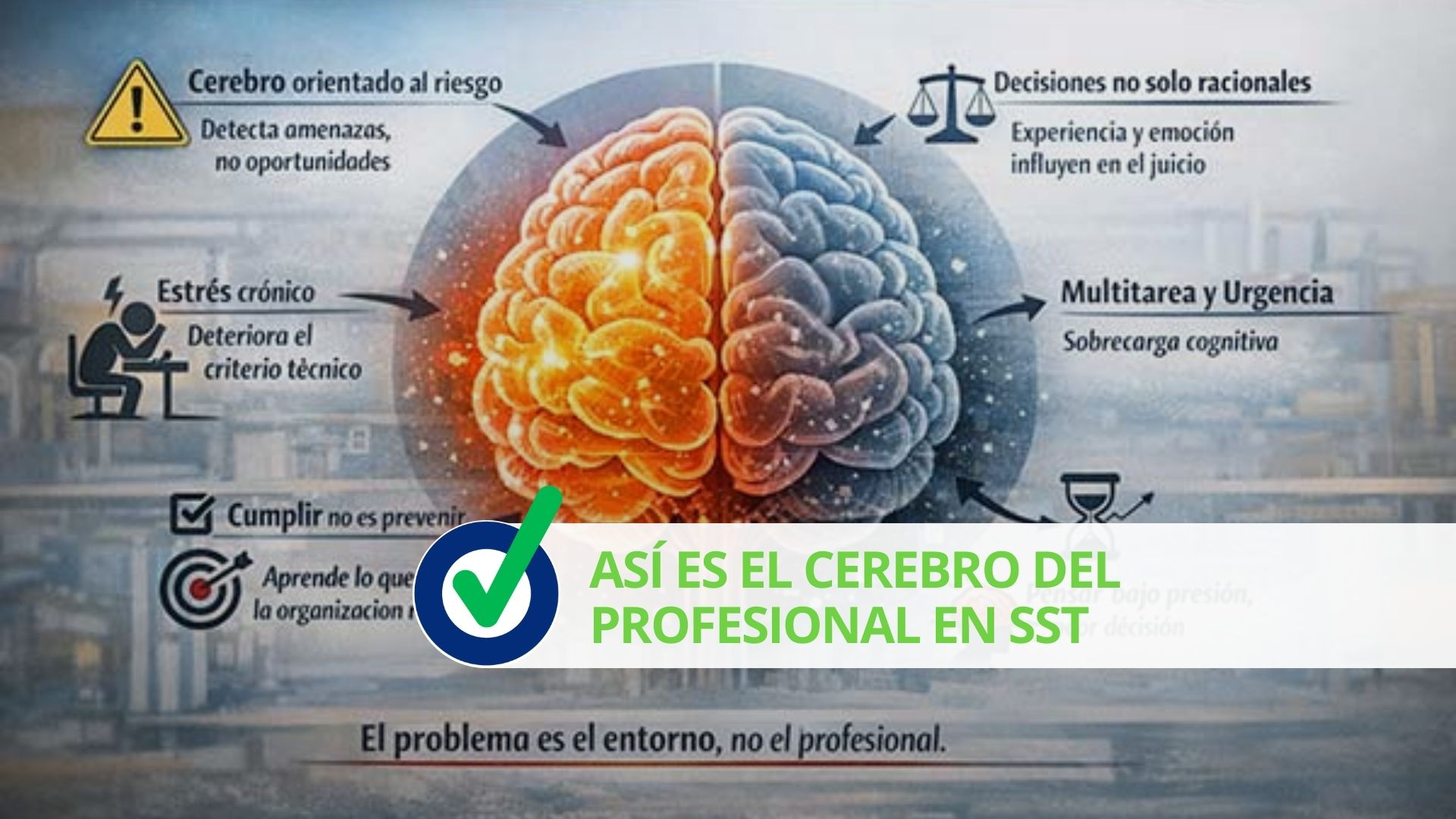 Así es el Cerebro del profesional en SST